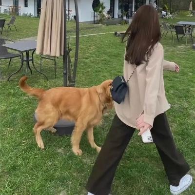 转生成猫的大叔